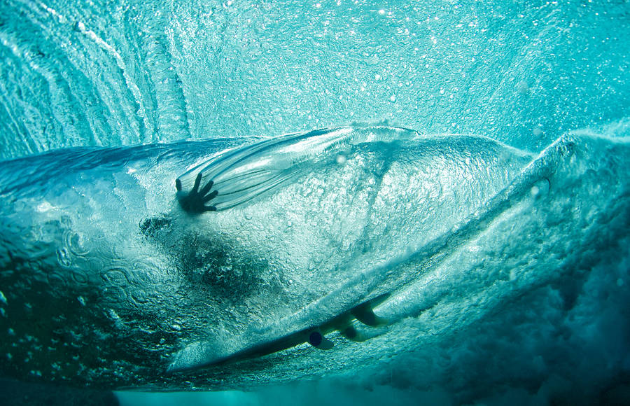 Beauty and Power of the Ocean through Sports