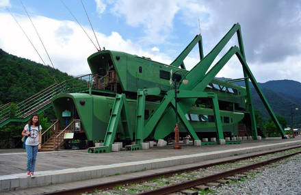 Insect-Shaped Café in South Korea