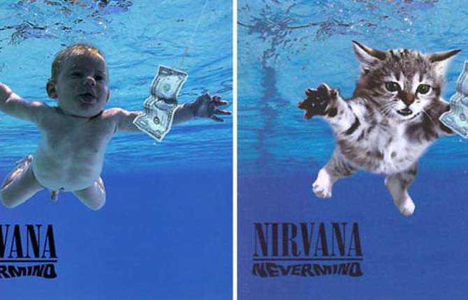 Replacing Musicians with Cats in Famous Album Covers