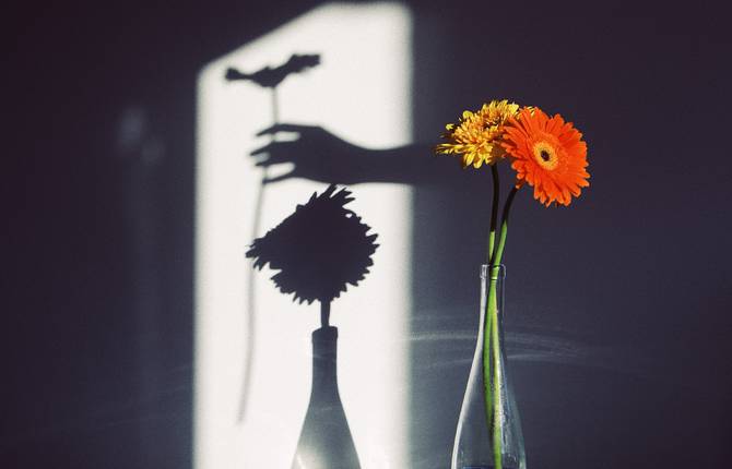 Through the Lens of Photographer Delfi Carmona