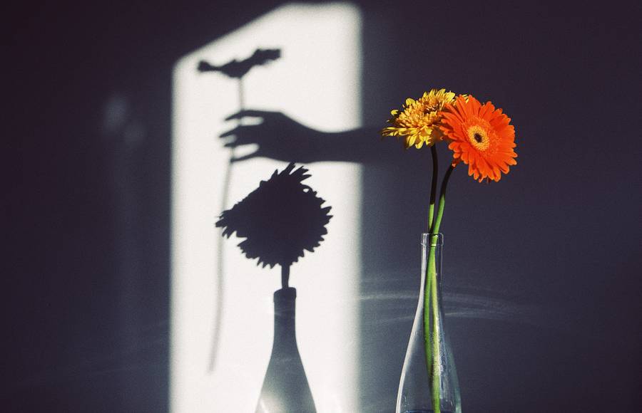 Through the Lens of Photographer Delfi Carmona