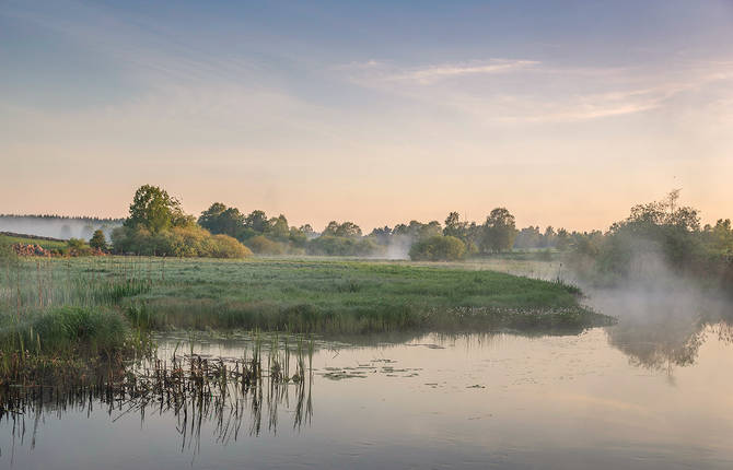 Morning Light Over The River By Lena Sanver