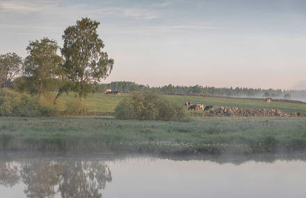 Morning Light Over The River By Lena Sanver