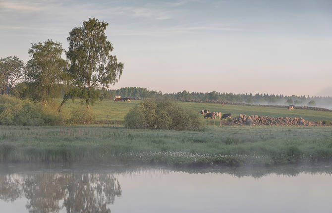 Morning Light Over The River By Lena Sanver