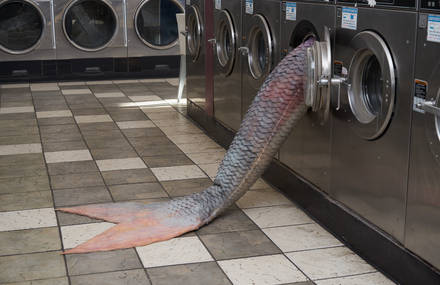 Mermaids Emerging from Washing Machines