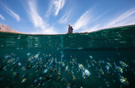 Sustainable Fishing in Oman