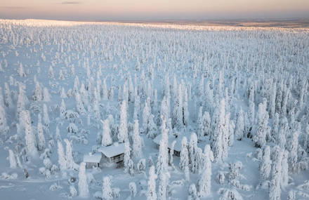 Fascinating Nordic Adventures through the Seasons