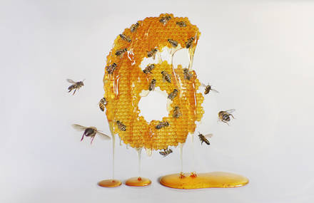 When Number Typography Meets Insects