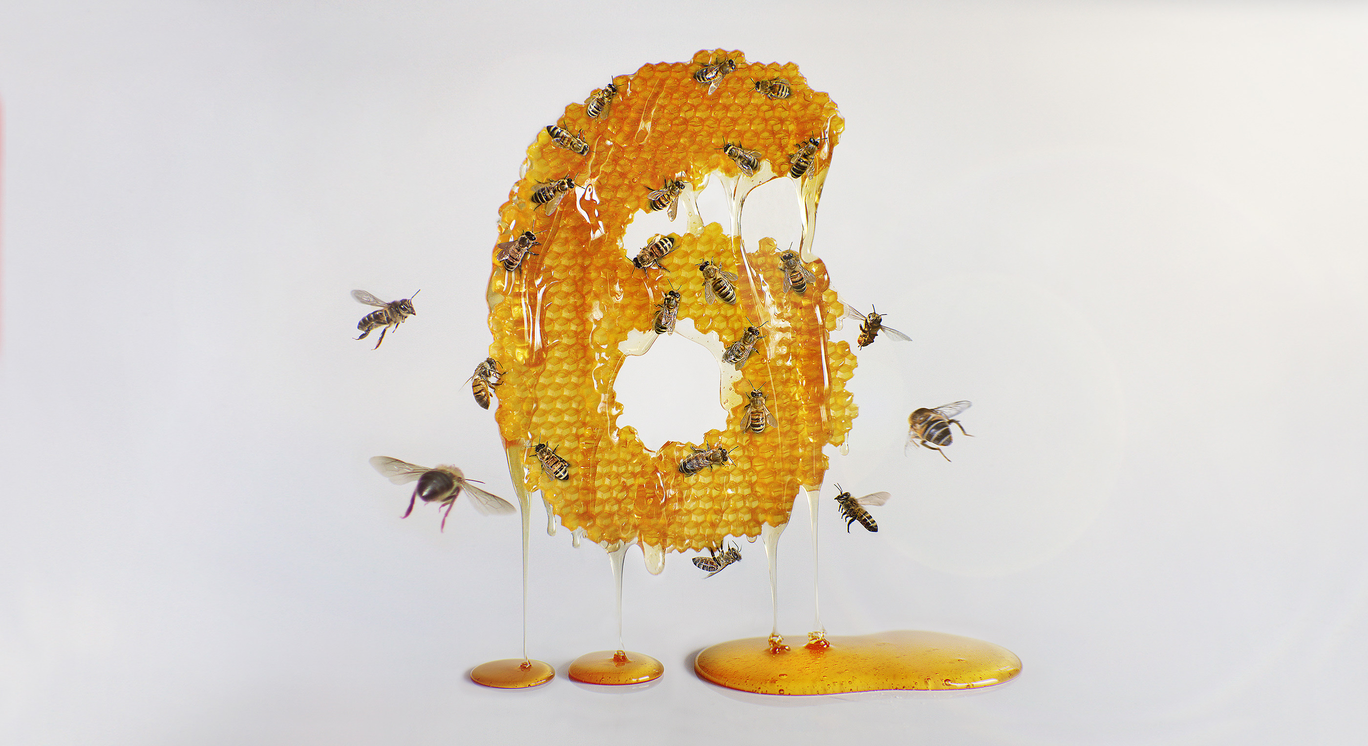 Alex Palazzi insects vs numbers 06