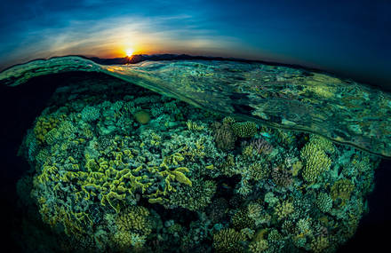 SPLIT, the Beauty of the Marine World and Above