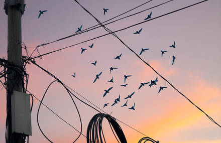 Surreal Street Moments