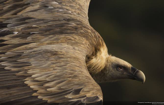 Winners of 2019’s National Geographic Travel Photo Contest