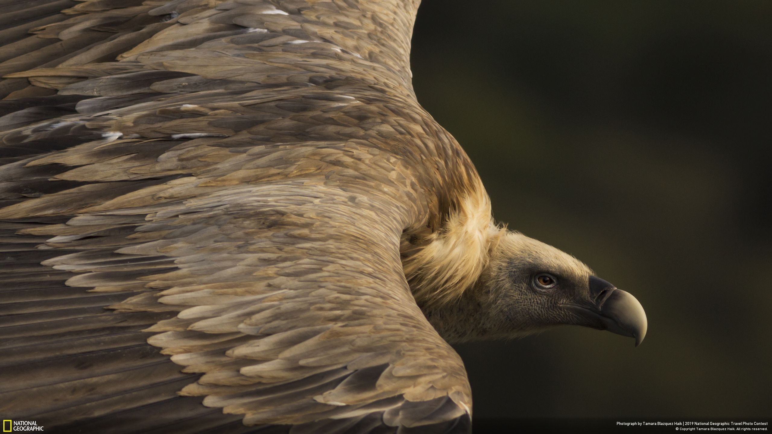 nat geo tamara blazquez haik nature 01