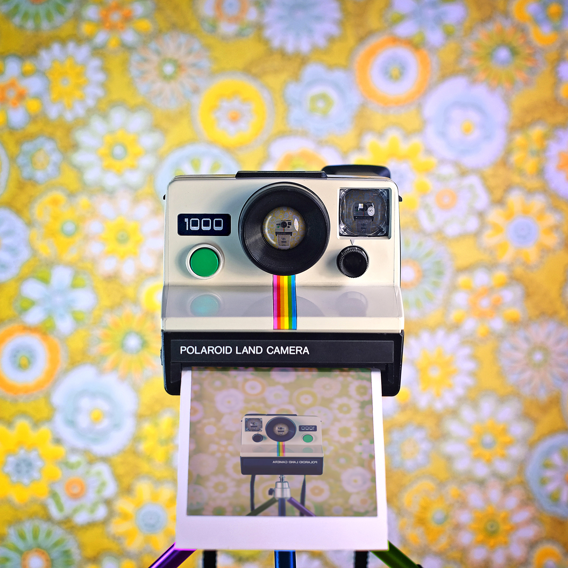 polaroid1