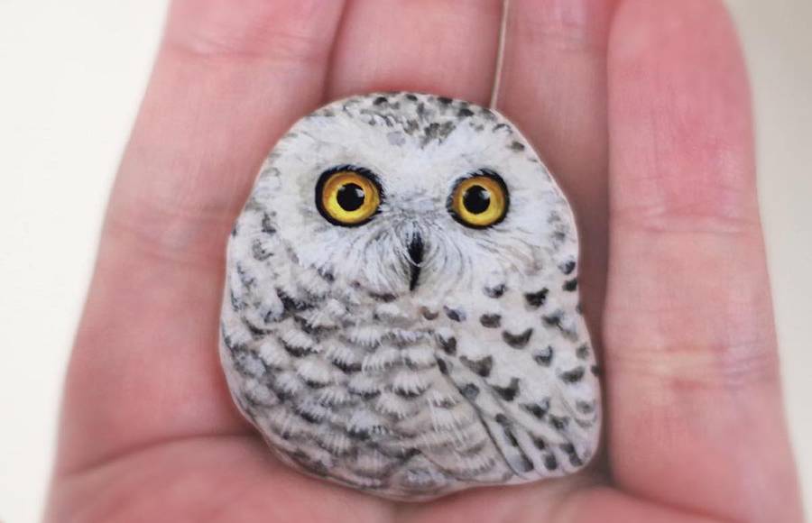 Stones Turned into Realistic Animals
