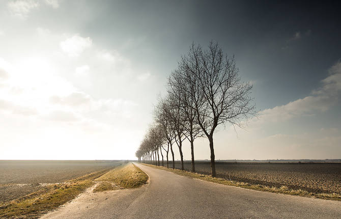 Magical Netherlands By Claire Droppert