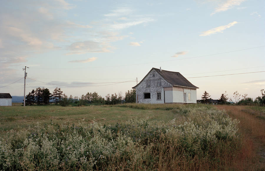 Through the Lense of Guillaume Tomasi