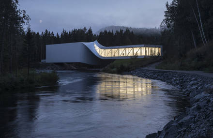 Splendid Twisted Bridge in the Norway Forest