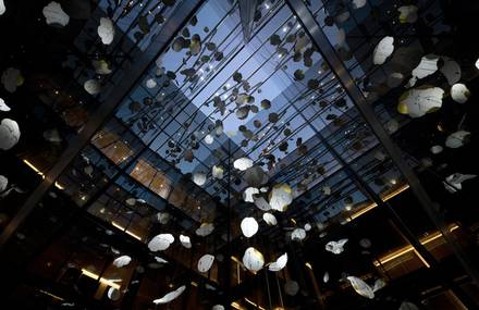 Stunning Floating Installation at the Montreal’s Four Seasons