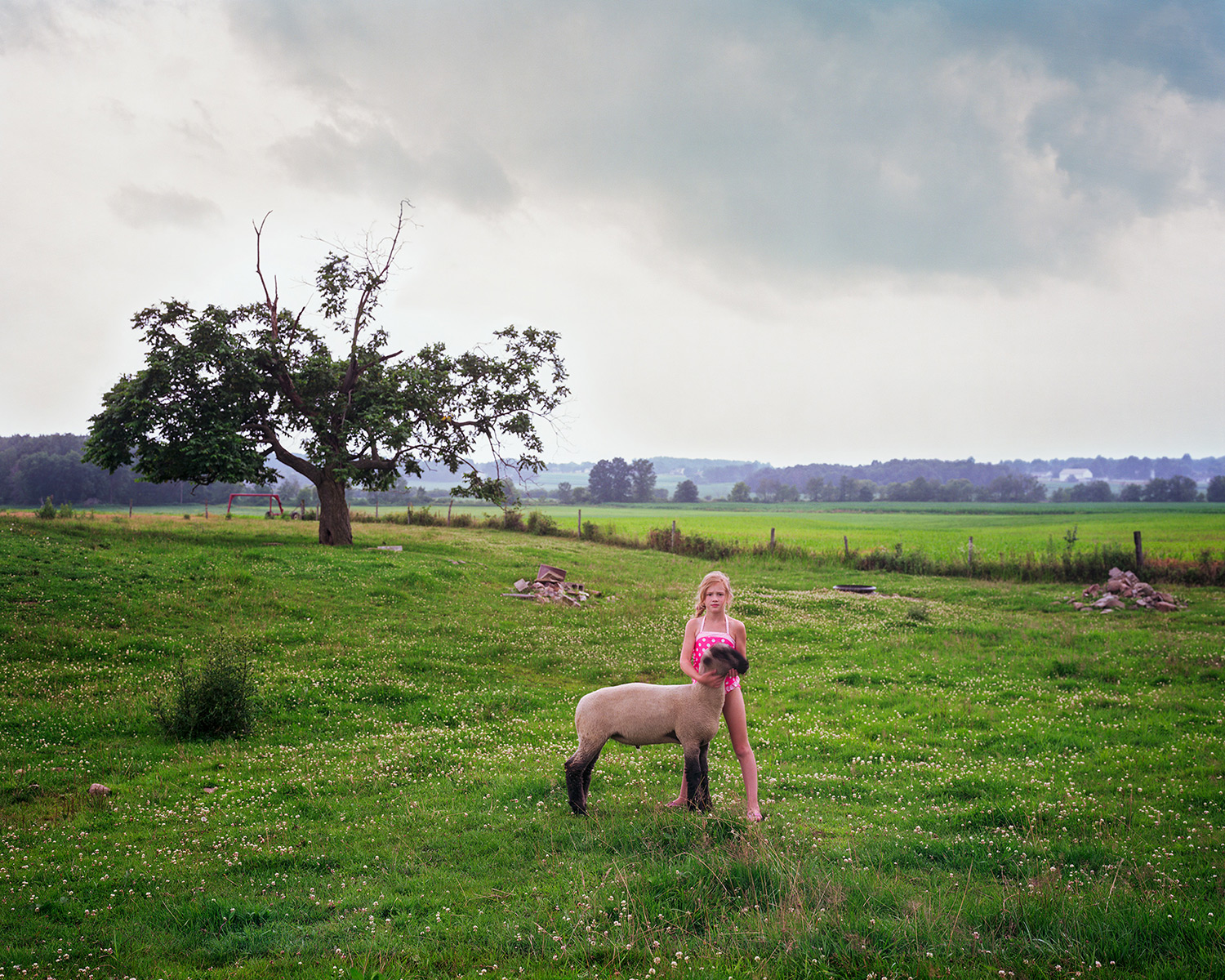 Paradise-Road-Orrville-OH-6-Sophie-Logan-7.7.15