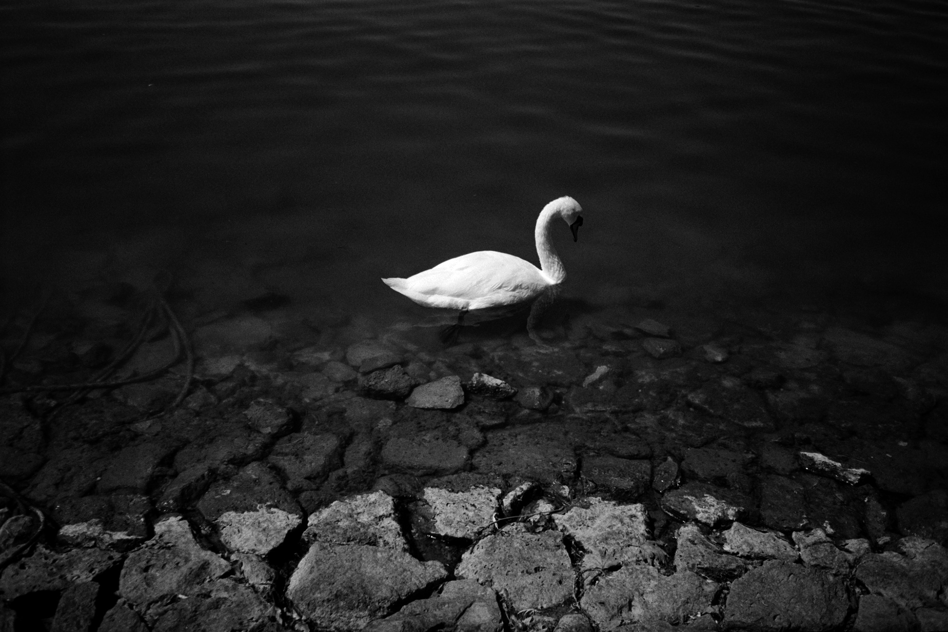 12photos 12months 2 Fubiz Media 12photos-12months-2-fubiz-media