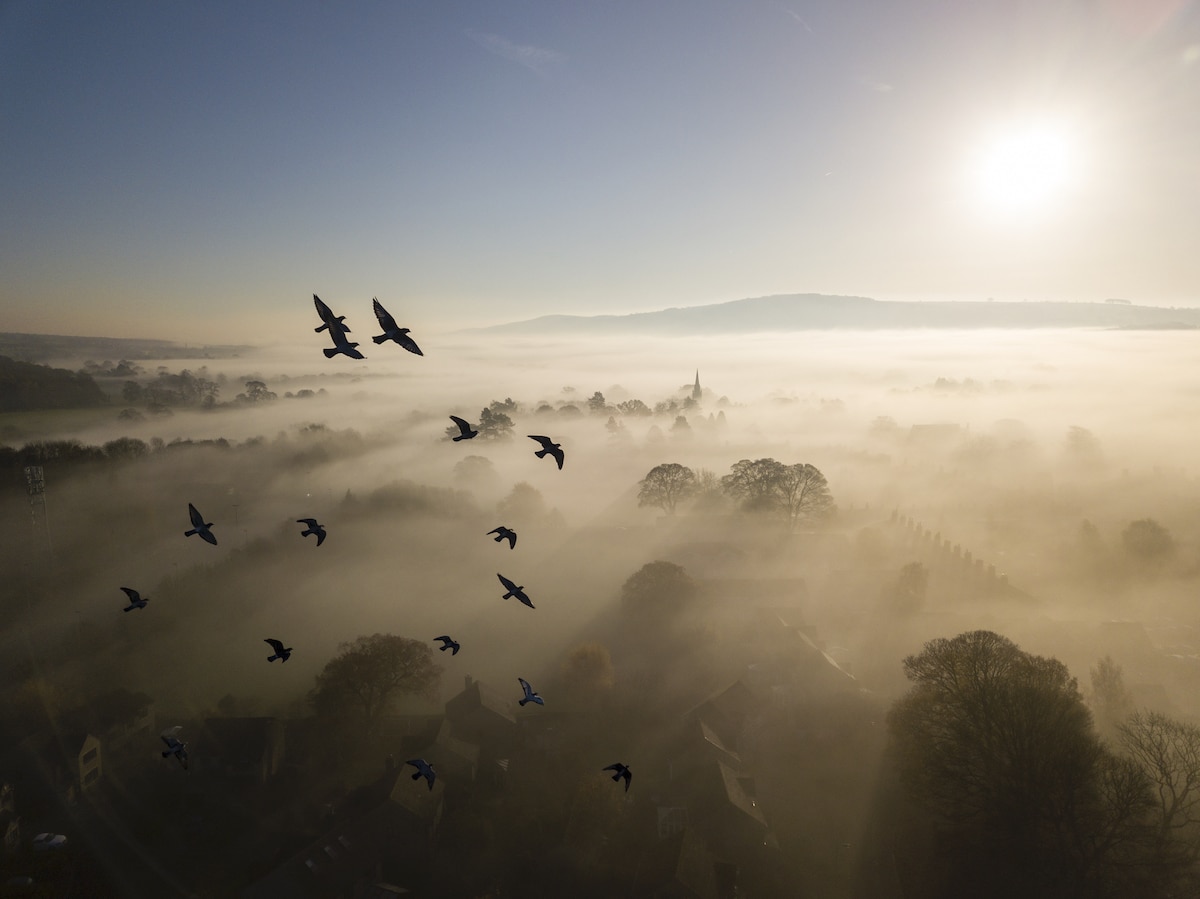 British-Wildlife-Photography-Awards-habitat-winner-by-Rich-Bunce