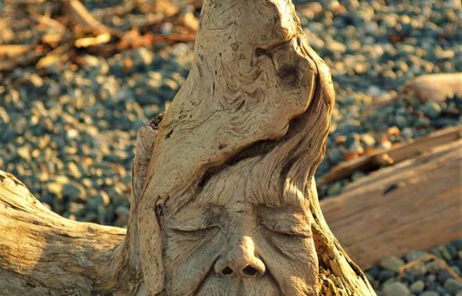 Fantastic Figures Carved on Driftwood