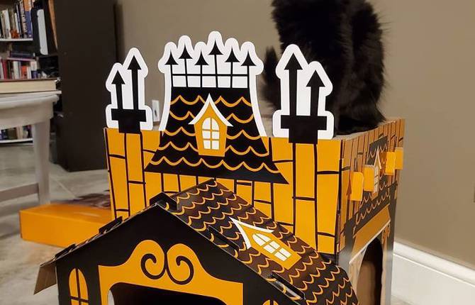 A Halloween House for Cats