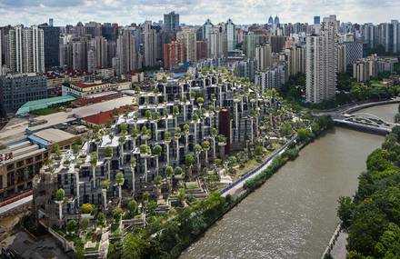 1000 Trees in Shanghai