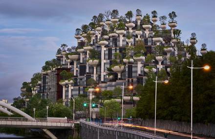 1000 Trees in Shanghai