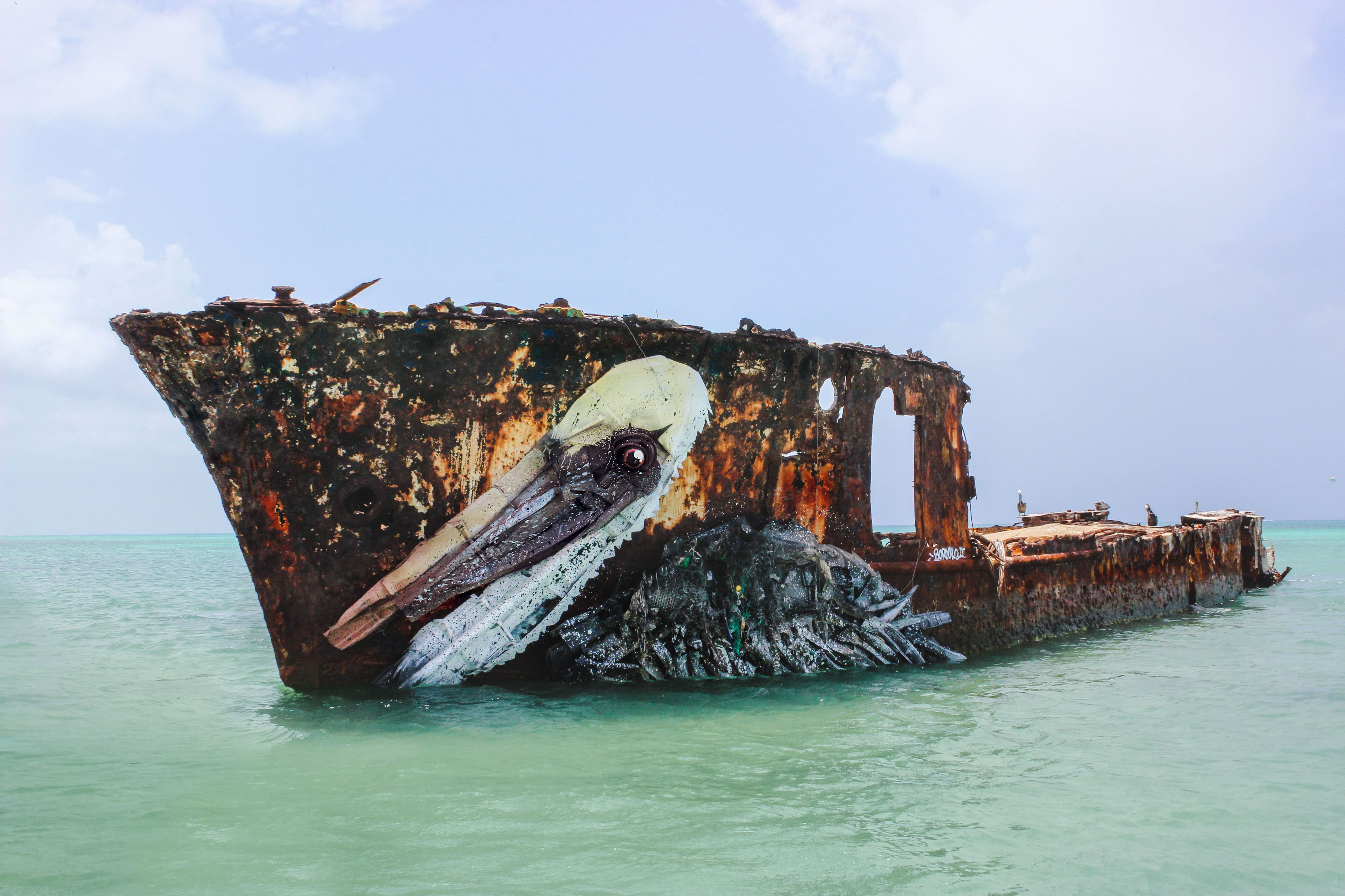 2016 - Pelicano - Aruba - photo by Bordalo II-min
