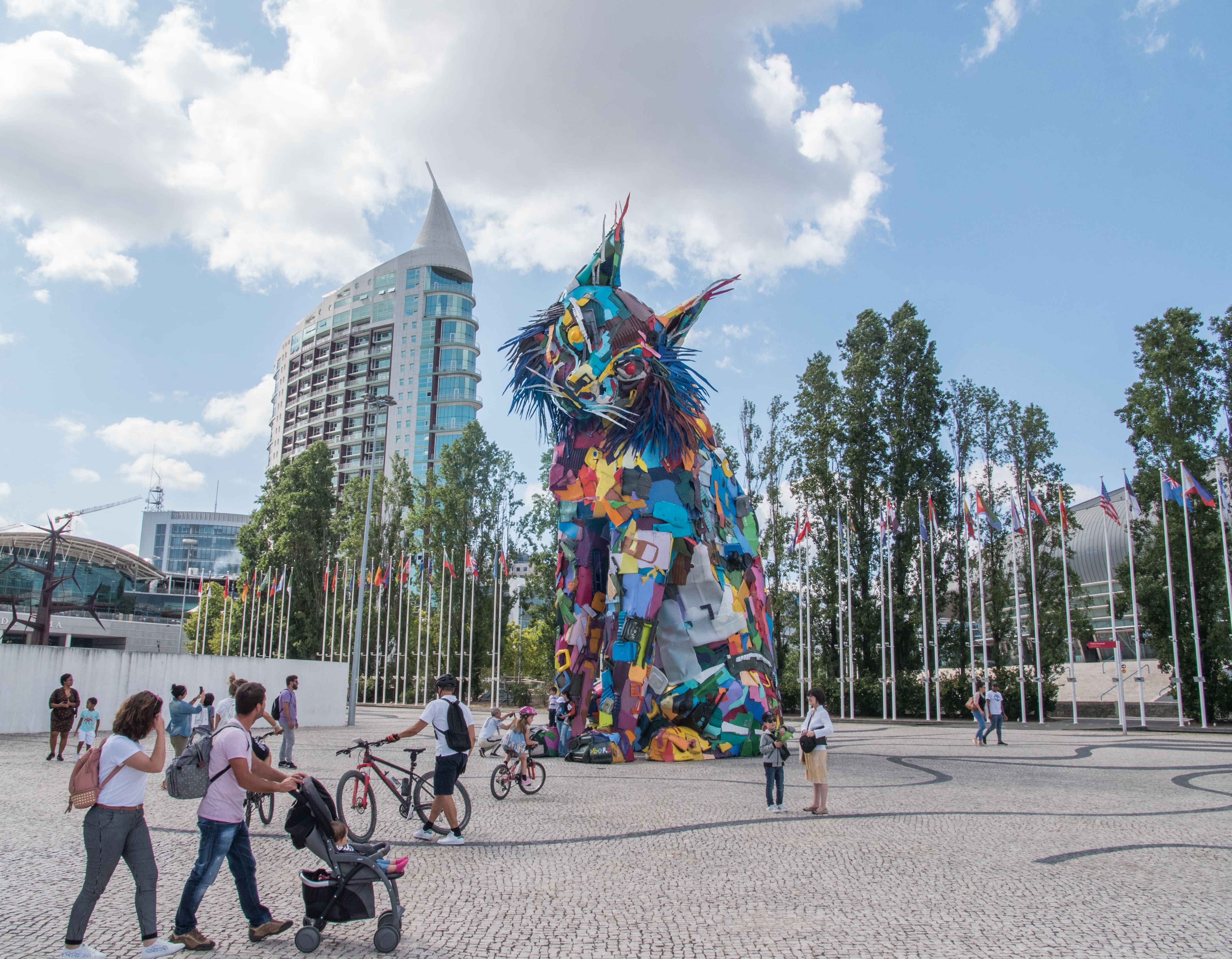 2019 - Lince Iberico _ Lisboa, Portugal - photo by Miguel Portelinha-min