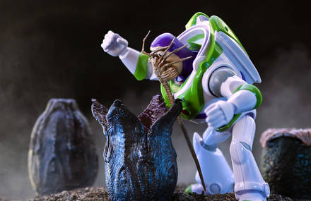 Behind the Scenes of Toy Photographies