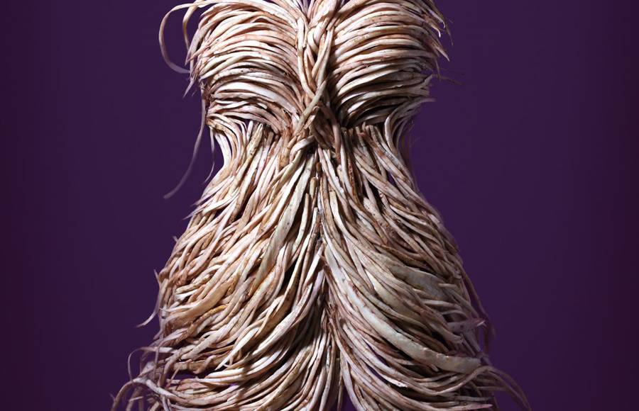 Cocktails Dresses Made of Real Vegetables