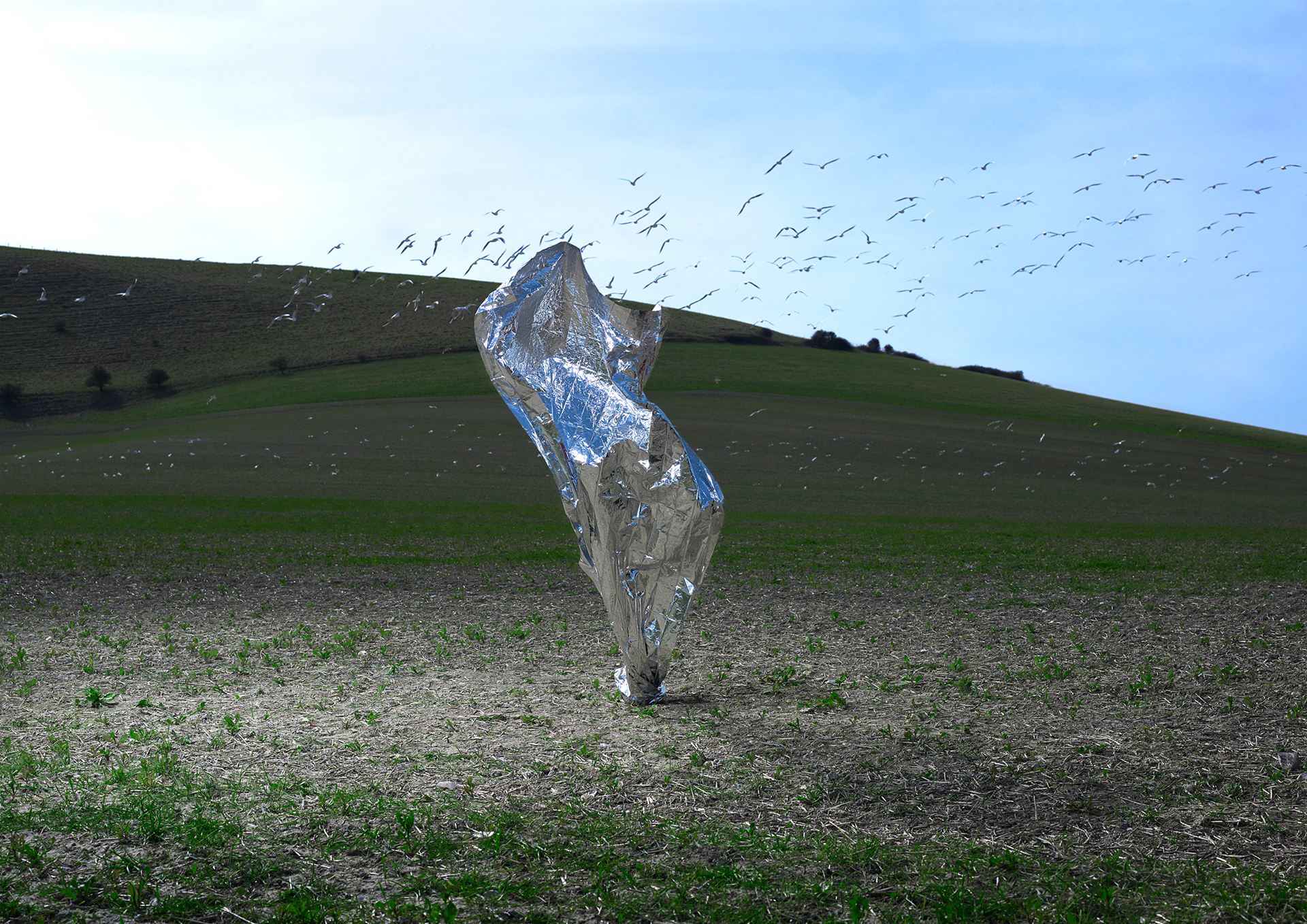 Transient Sculptures4