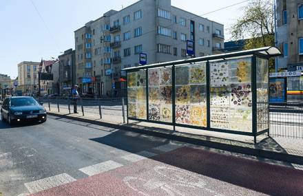 Polish Tram Station Turned into a Floral Museum