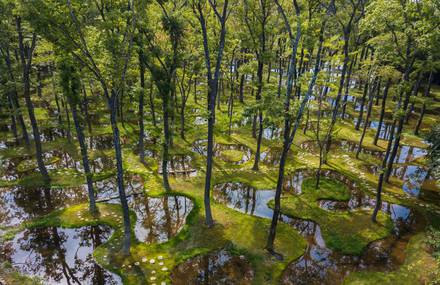 Beautiful and Unreal Water Garden in Japan