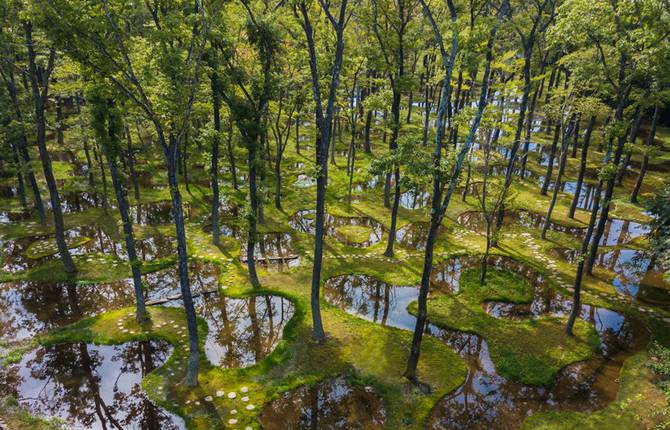 Beautiful and Unreal Water Garden in Japan