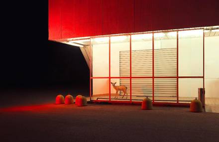 Through the Lens of Graziano Panfili