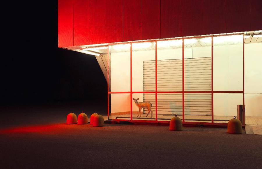 Through the Lens of Graziano Panfili