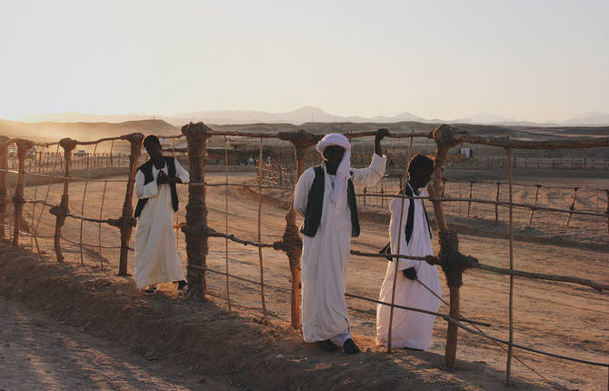Explore Egypt with Wafaa Samir