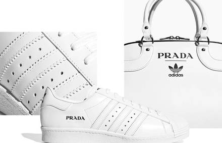Prada Signs a Limited Edition Collection For Adidas