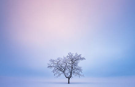 The Quiet Beauty of Rural Finland