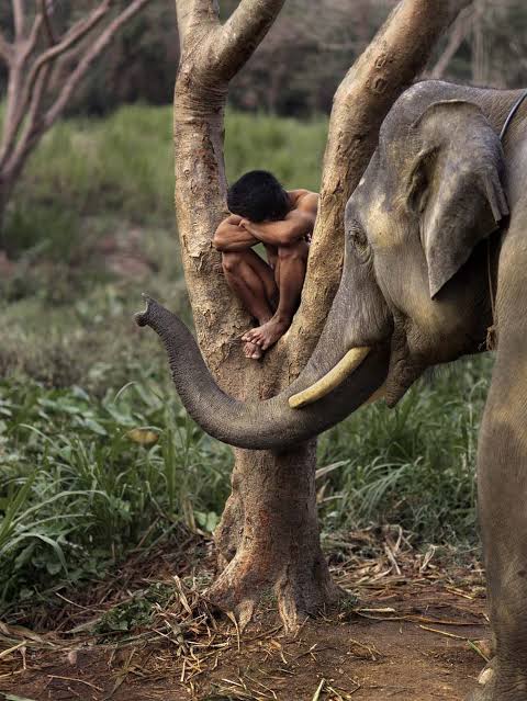 Steve_McCurry_1