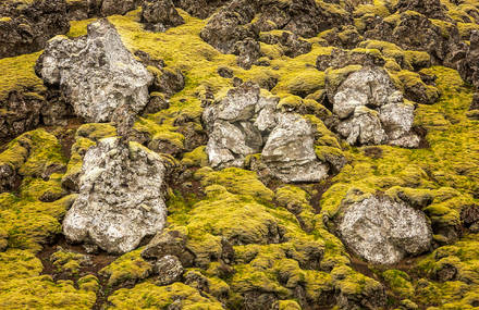 Quiet Landscapes of Iceland