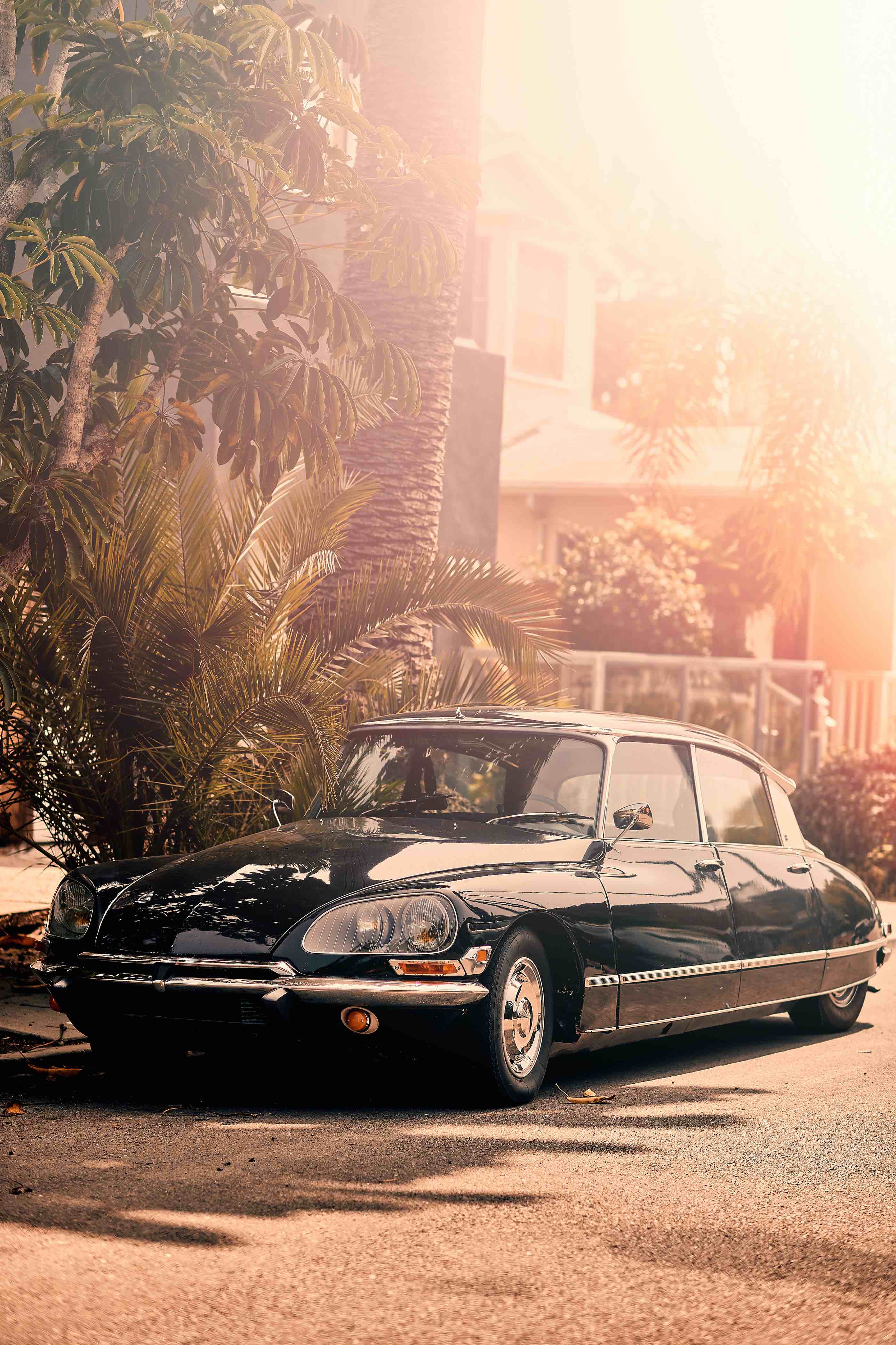 Luciano Consolini- classic cars2