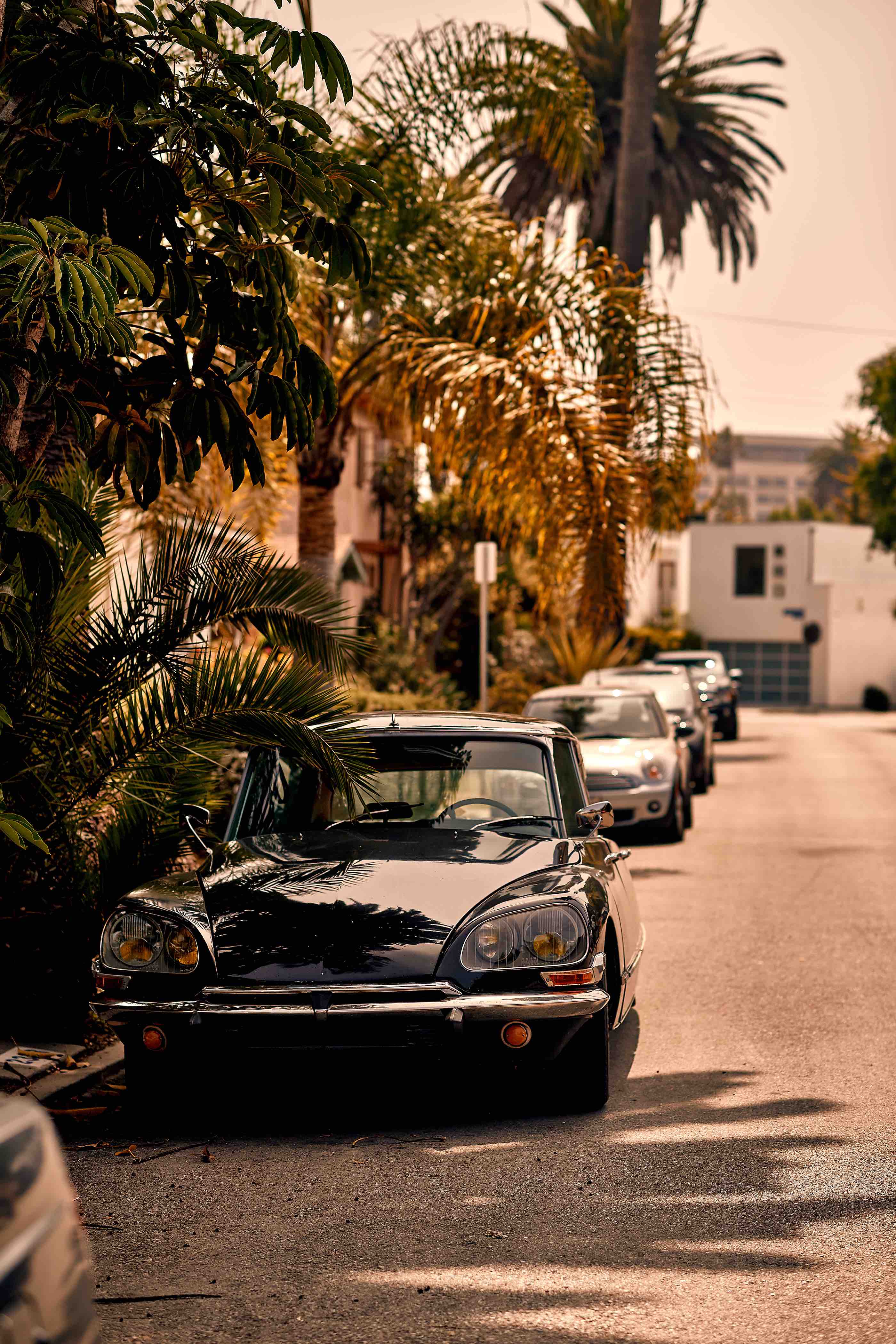 Luciano Consolini- classic cars3