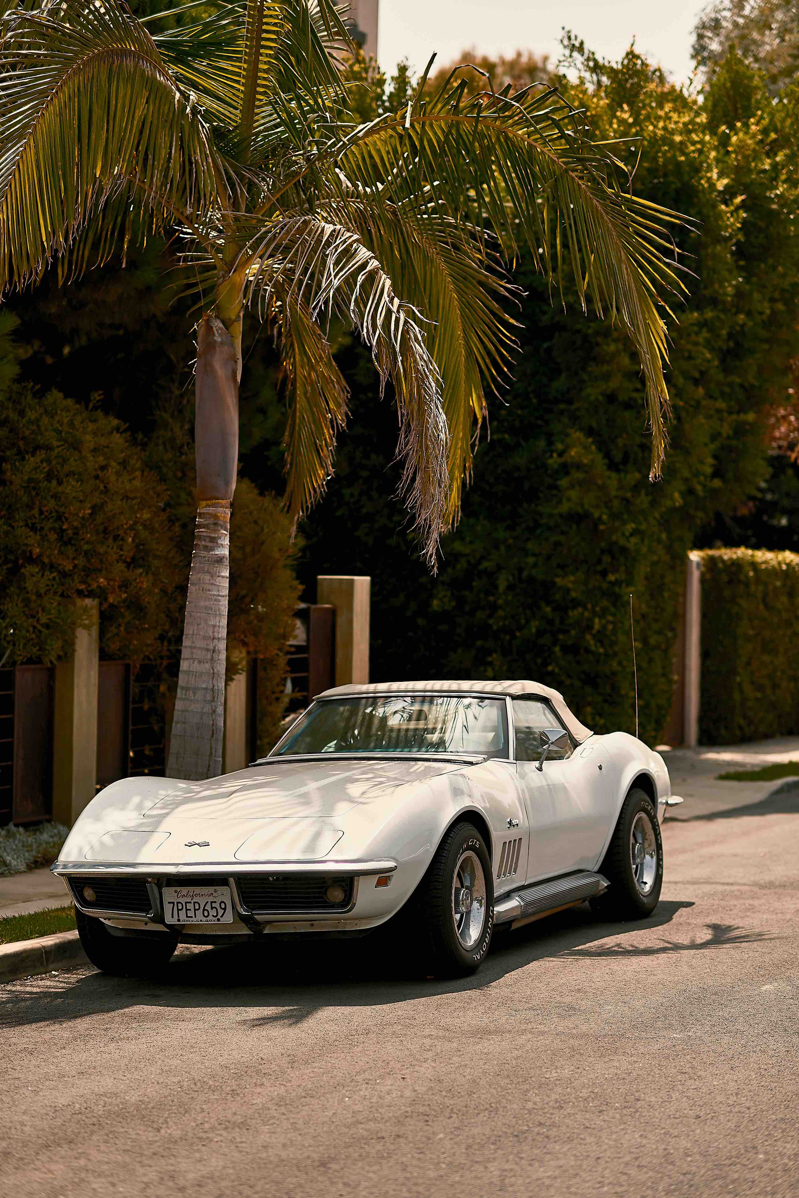 Luciano Consolini- classic cars6