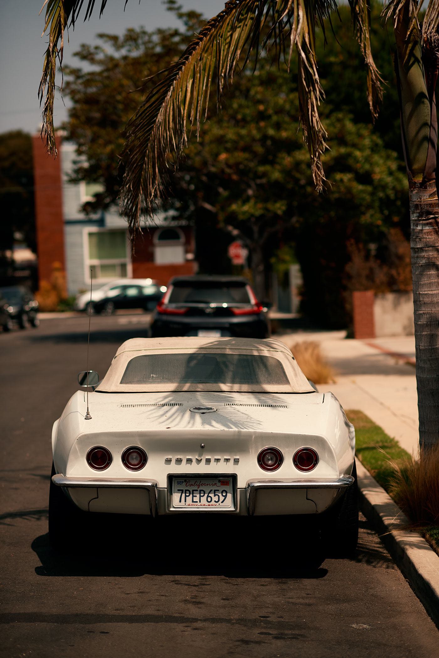 Luciano Consolini- classic cars7