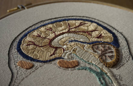 Anatomy Finely Embroidered